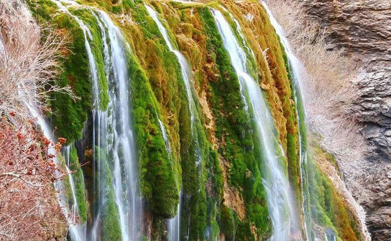 پوشش-گیاهی-و-جانوری-آبشار-پونه-زار.jpg