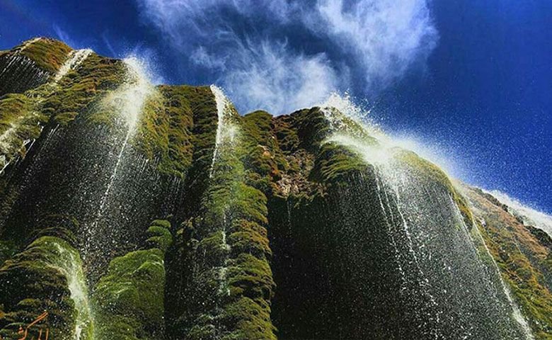 طبیعت‌گردی.jpg