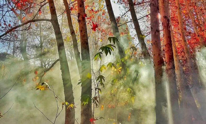 نگاهی به بهترین جاهای دیدنی طرقبه مشهد با چاشنی شکمگردی!