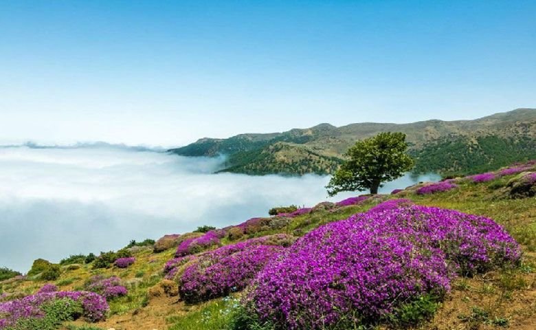 بهترین-زمان-سفر-به-شاهرود.jpg