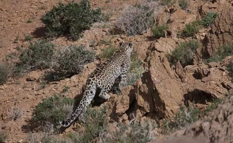 پناهگاه-حیات-وحش-خوش-ییلاق.jpg