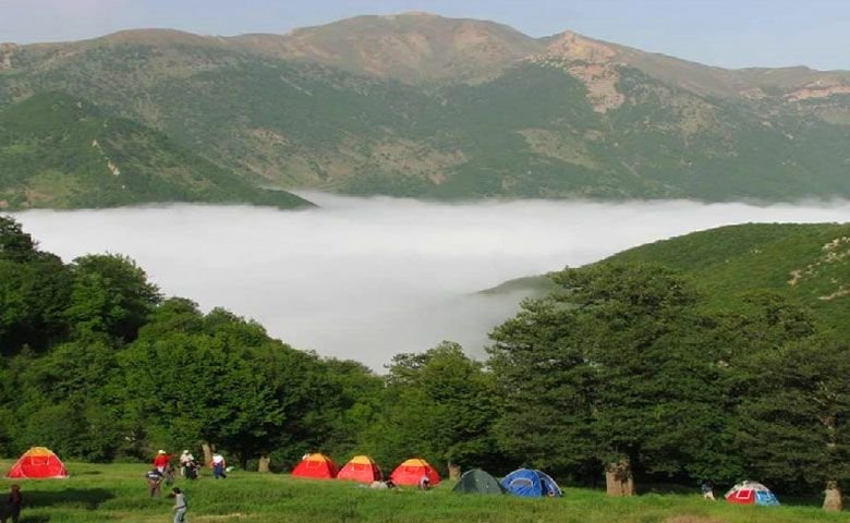 جنگل-ابر.jpg