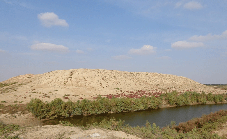 تپه&zwnj;های-باستانی-انوشیروان.gif