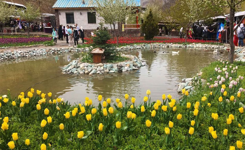 باغ لالههای گچسر