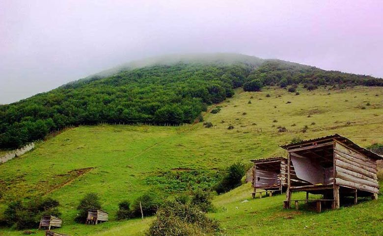 روستای کردیچال