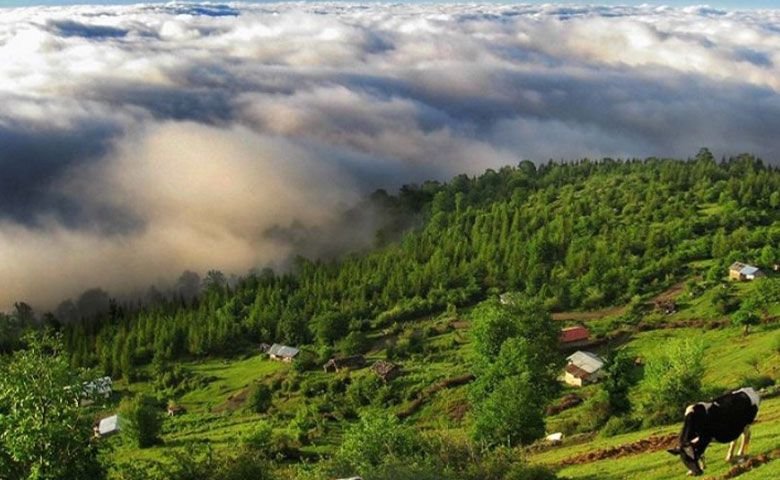 روستای-طویدره.jpg