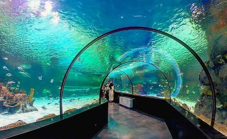 آکواریوم-بندر-انزلی-کجاست؟.jpg
