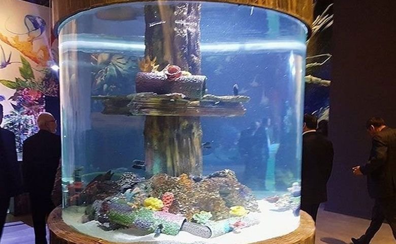 سایر-جاهای-دیدنی-نزدیک-به-آکواریوم-انزلی.jpg