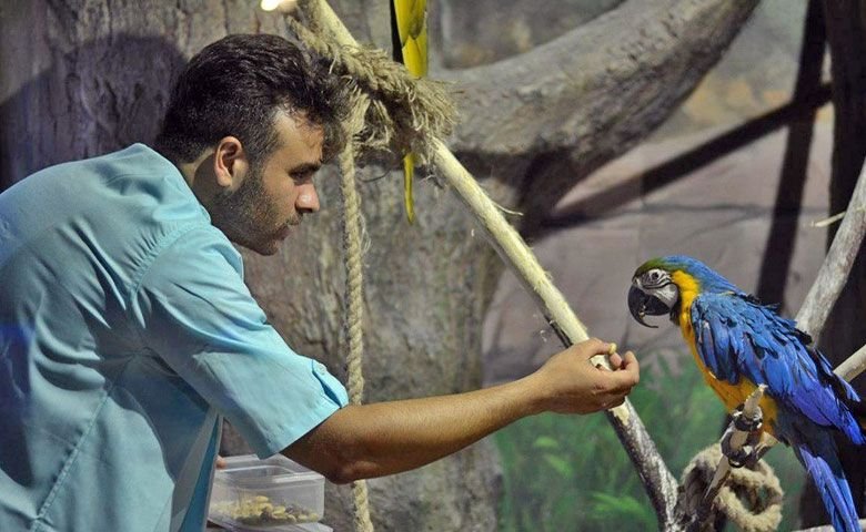 بخش-پرندگان-و-خزندگان.jpg