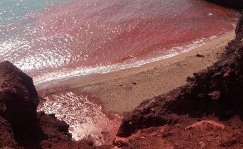 ساحل سرخ هرمز