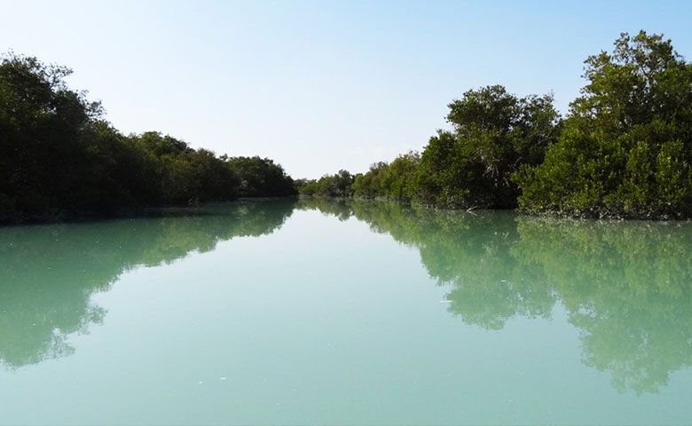 جنگل حرا هرمز