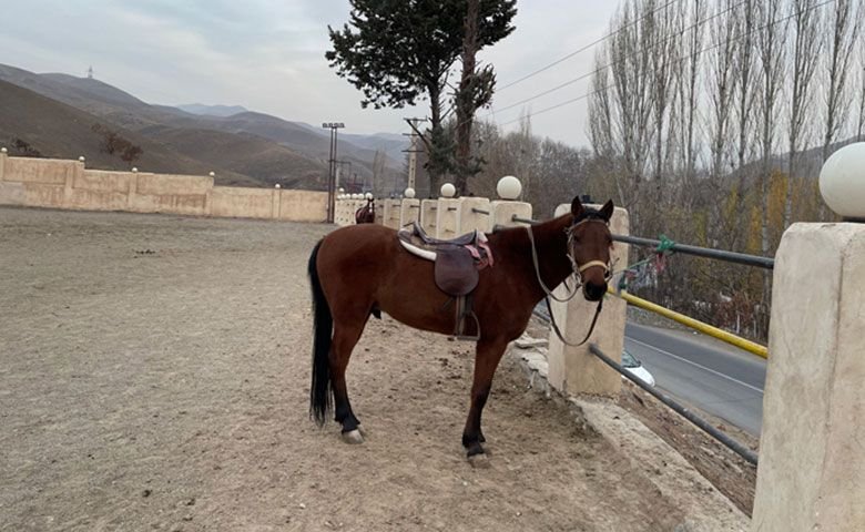 اسب‌سواری-در-کردان.jpg