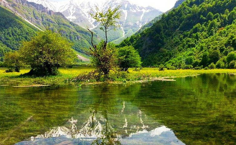 چرا بهار فصل مناسبی برای سفر است؟