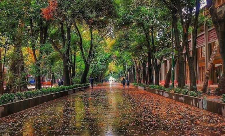 چهارباغ عباسی کجاست؟ راز دلربایی اولین خیابان اصفهان!