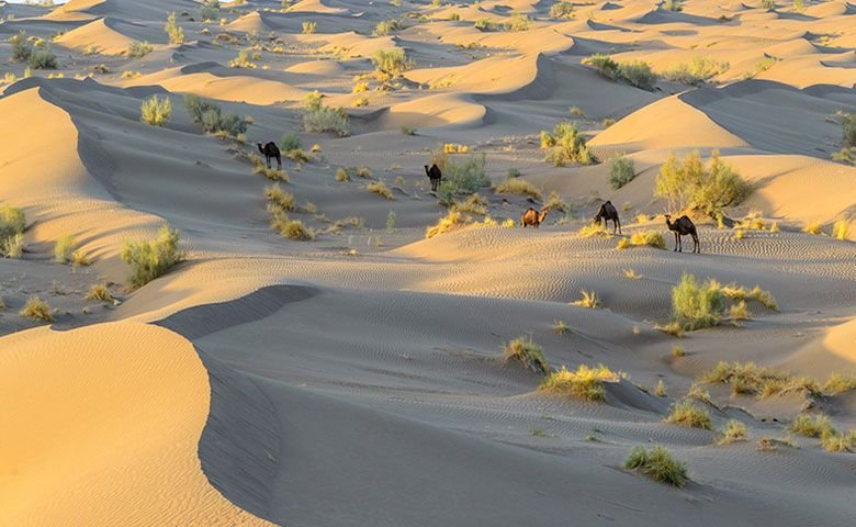 همراه‌داشتن تجهیزات فنی ضروری در سفر به کویر