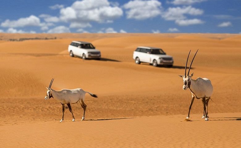  تغذیه مناسب در سفر به کویر