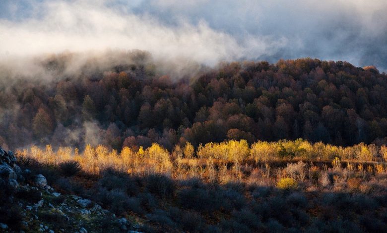 سوادکوه کجاست ؟ بهشتی دوست داشتنی در دل خطه طبرستان