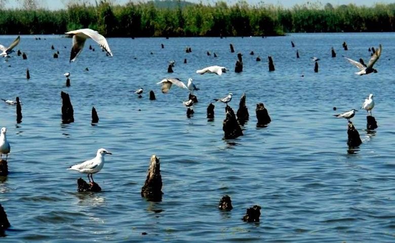 پارک-بهشت-پرندگان.jpg