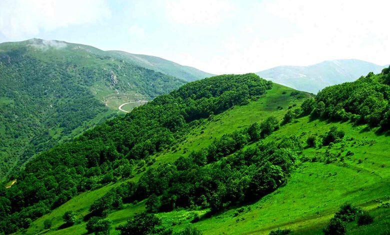 این تابستان در قلب طبیعت بکر، چادر بزنید!