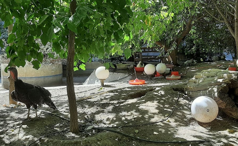 باغ پرندگان کرج گوهرشهر