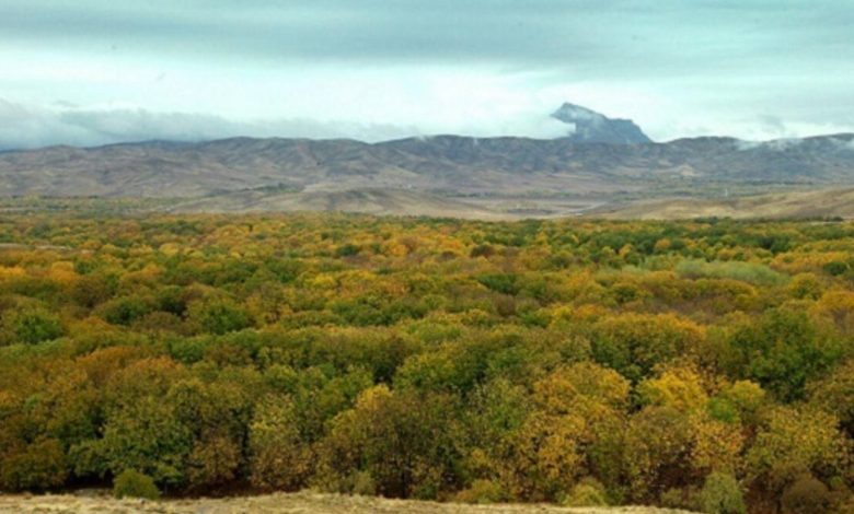 تویسرکان کجاست و از شهر گردوهای خوشمزه چه می‌دانید؟