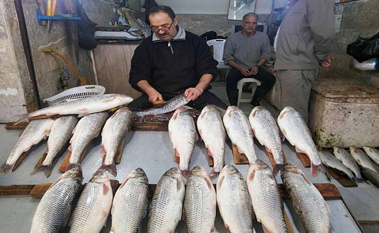 ماهی سوغات شمال