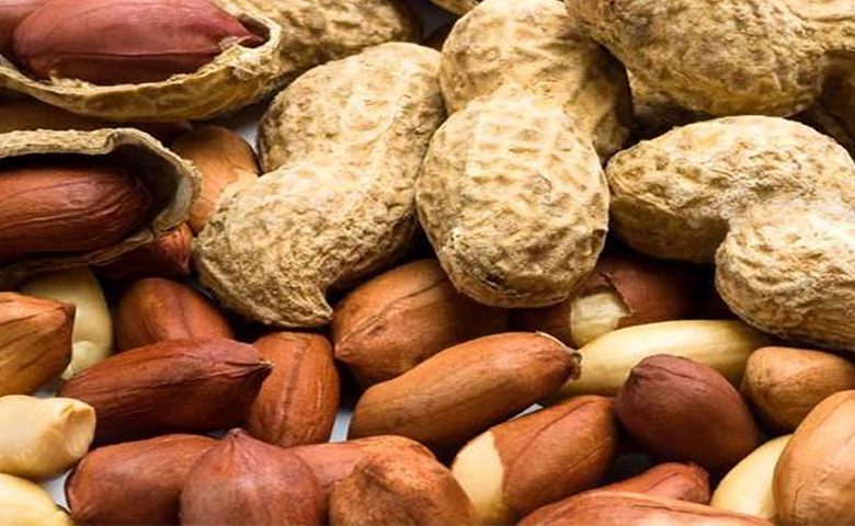 بادام زمینی آستانه گیلان