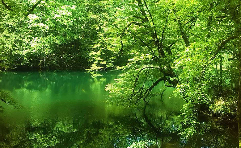 دریاچه بهشتی مازندران
