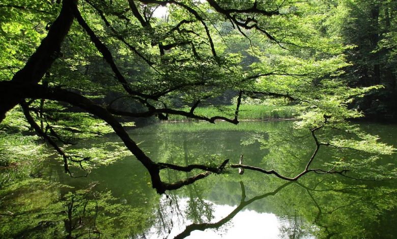 دریاچه فراخین و آبیِ هزار رنگ استان مازندران