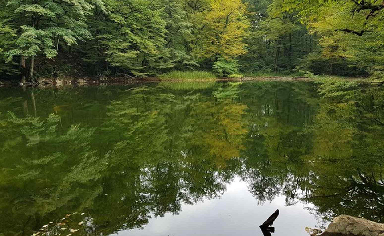 راهنمای سفر نوشهر