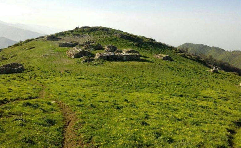 ییلاق وینی