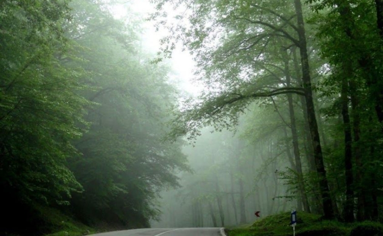 مسیر دسترسی به جنگل دو هزار