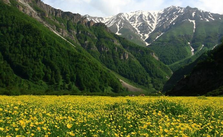 بهترین زمان سفر به جنگل دوهزار و سه هزار