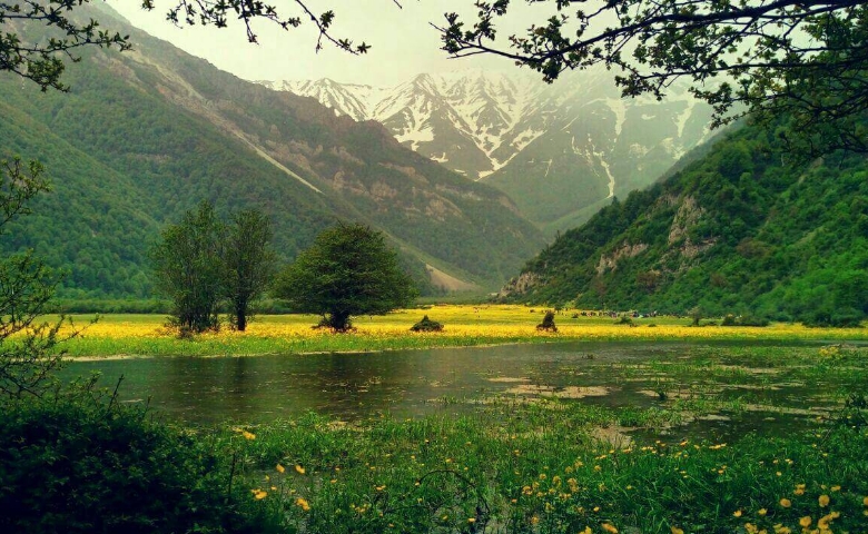 دشت دریاسر