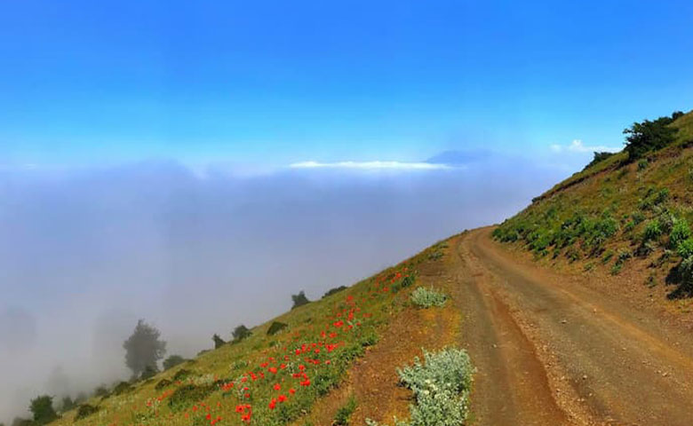 نکات مهم رانندگی در جادههای ییلاقی گیلان