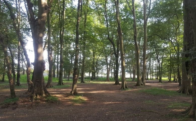 پارک-جنگلی-انزلی.jpg