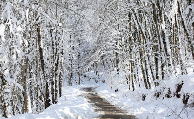 جاهای دیدنی رامسر در زمستان