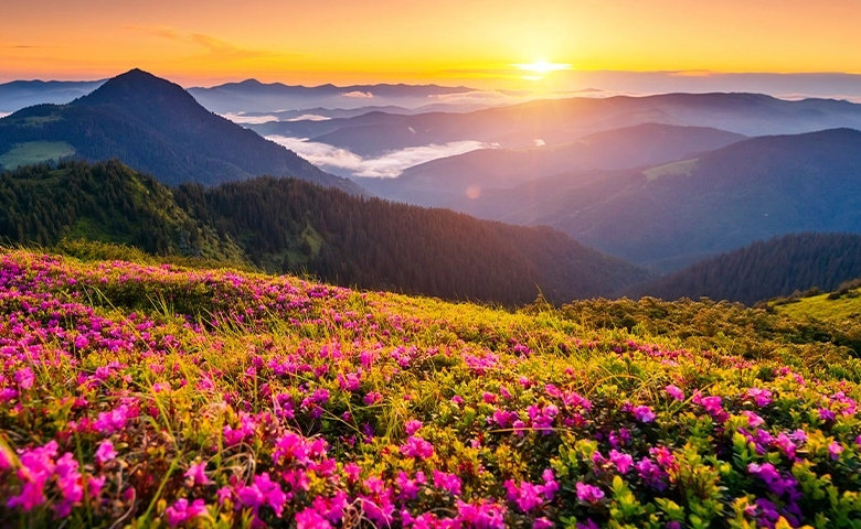 طبیعت گردی در جاهای دیدنی غرب ایران