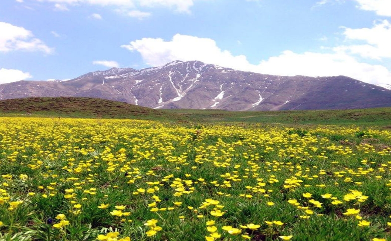 پارک ملی لار