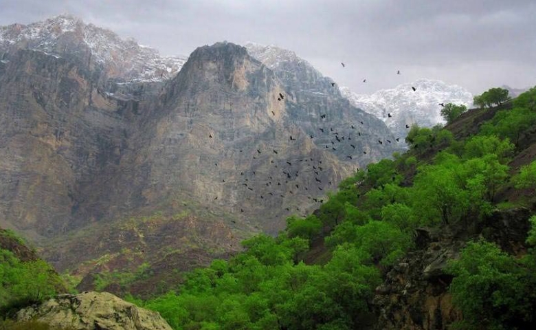 دره عشق چهارمحال و بختیاری