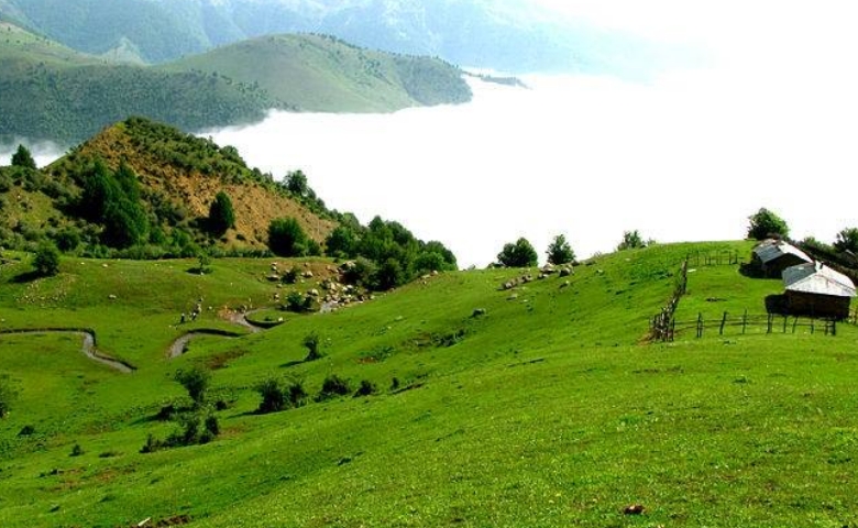 ییلاق هلو دشت
