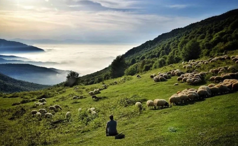 ییلاق دیلمان