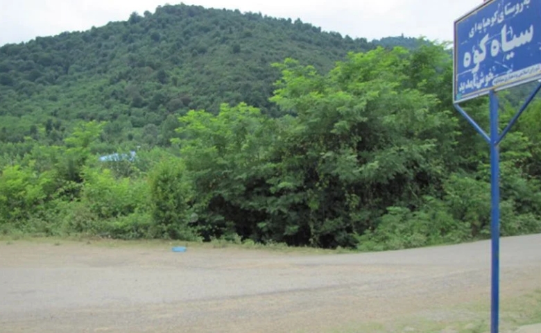پارک جنگلی سیاه کوه