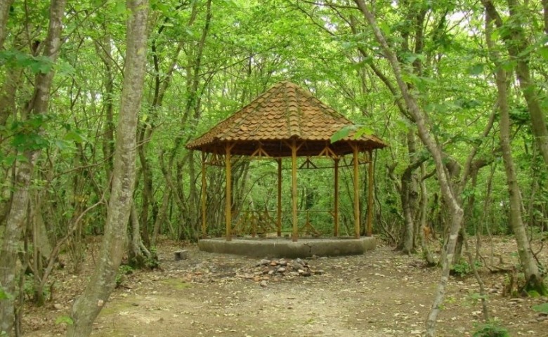 پارک های جنگلی گیلان