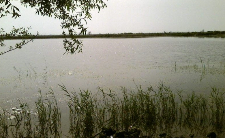 تالاب عزیزک