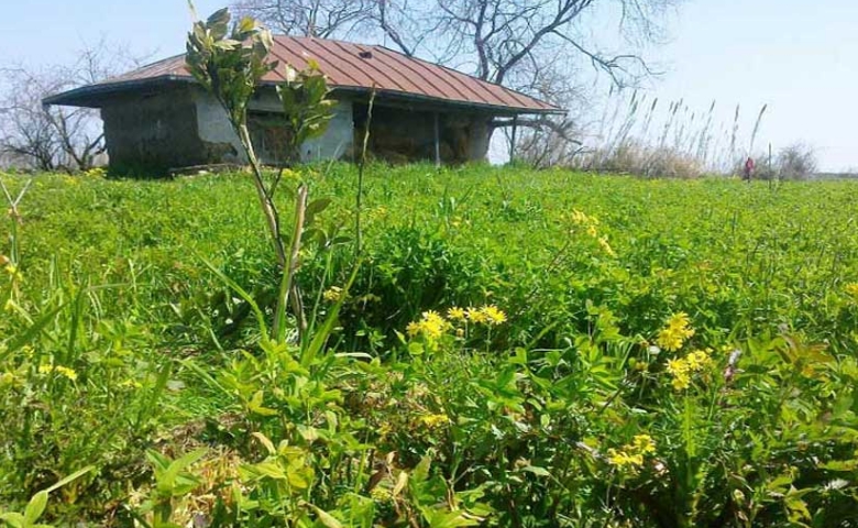 روستای گالشکلا