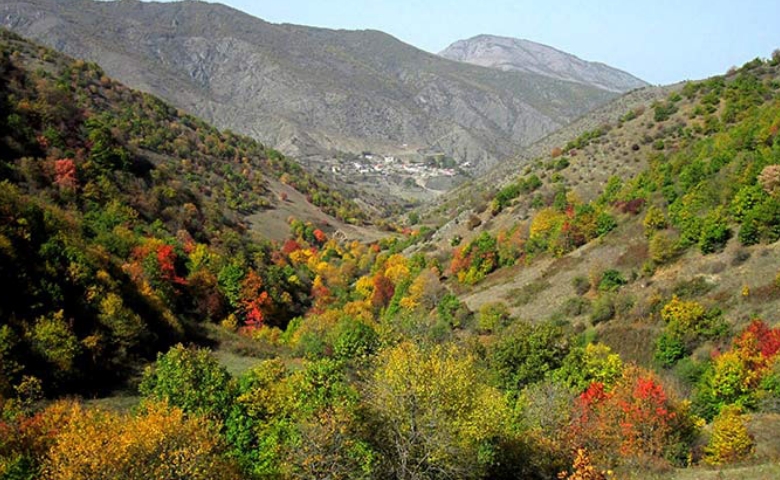 کوهی خیل