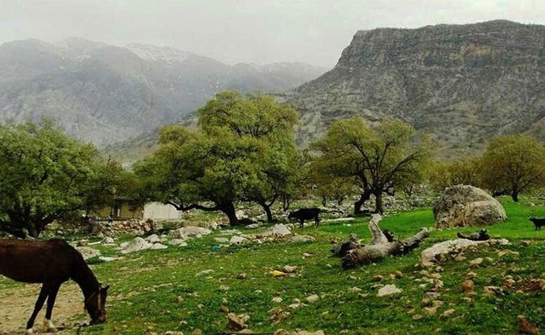 کمپینگ-و-شب‌مانی-در-طبیعت.jpg