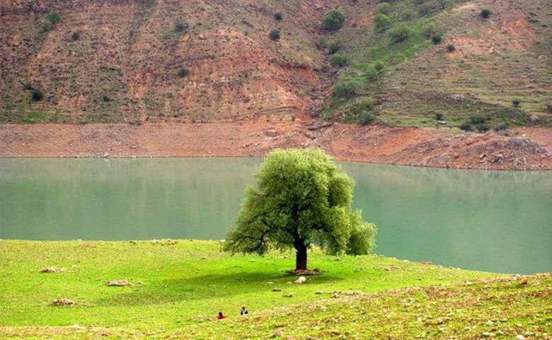 جاهای-دیدنی-دشت-شیمبار.jpg