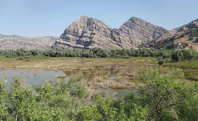 عکاسی-و-مردم‌نگاری.jpg